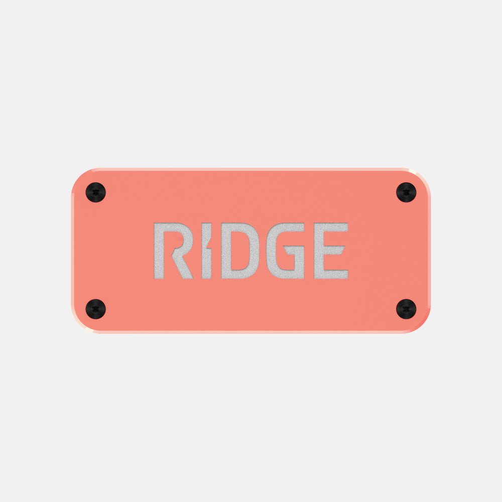 Personalized Logo Plate - Just Peachy