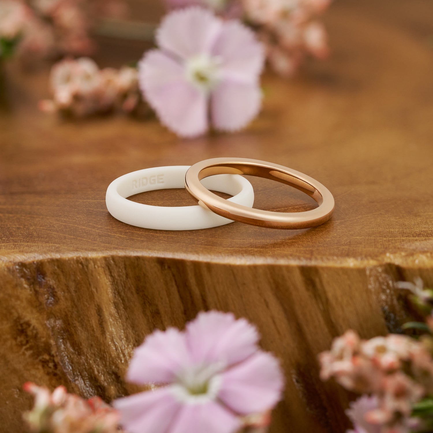 Ridge 2mm Rounded Ring Set - 14K Rose Gold